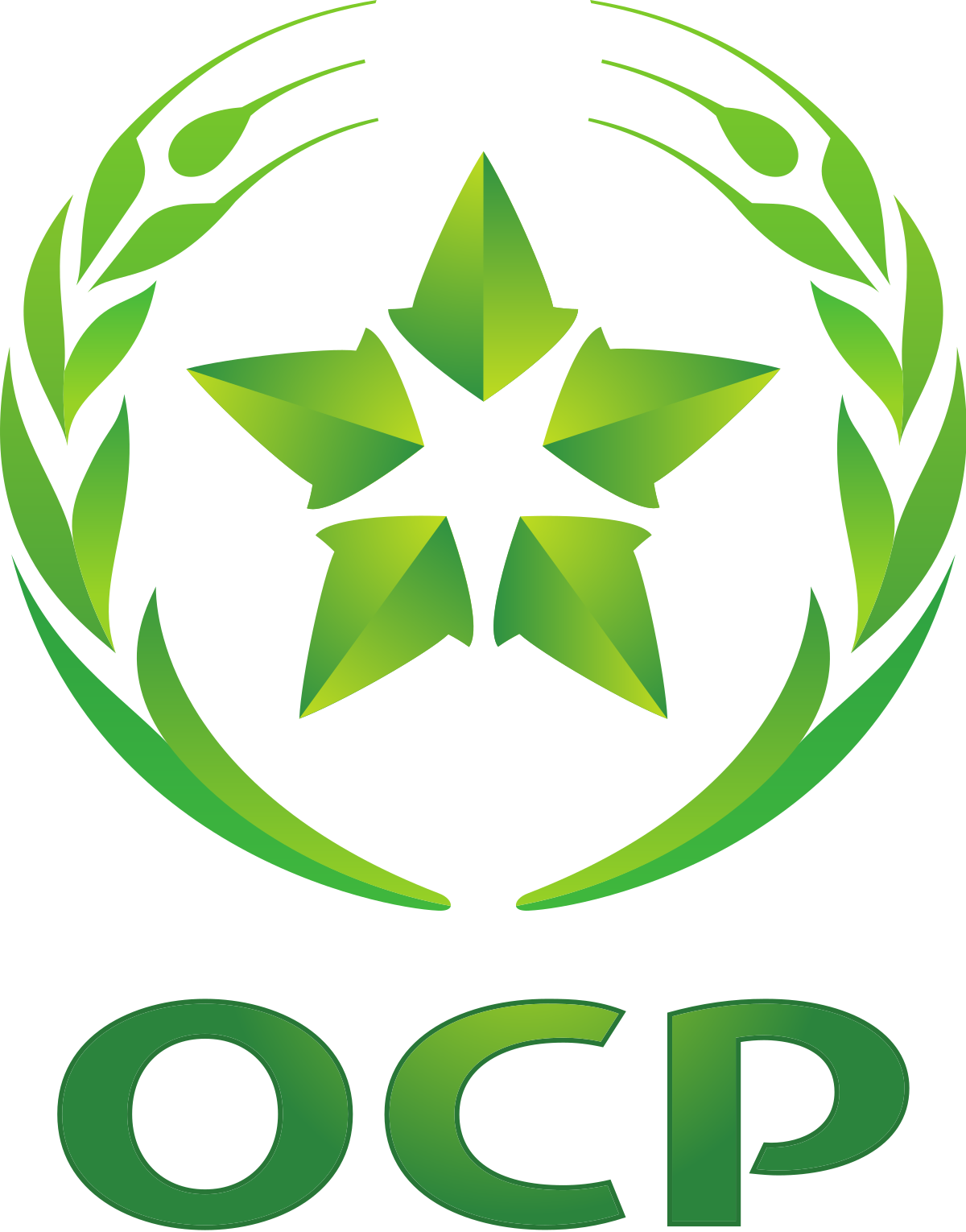 OCP-GROUP